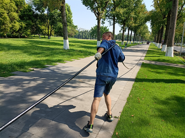 1662020903415327.jpg 11.jpg