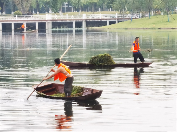 1662020962650324.jpg 17.jpg