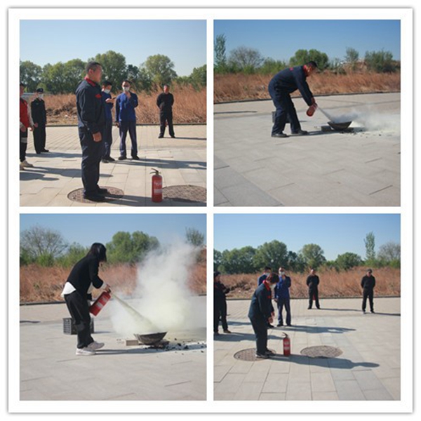 1685066648216755.jpg 4.jpg