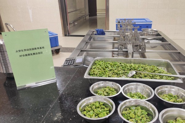 1685671607273852.jpg 4.jpg