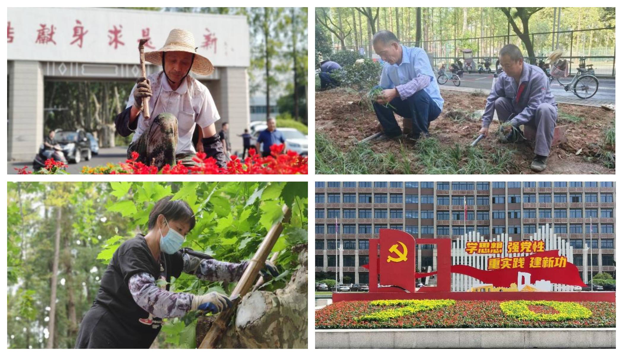 1693982945974145.jpeg 1693982945974145.jpeg