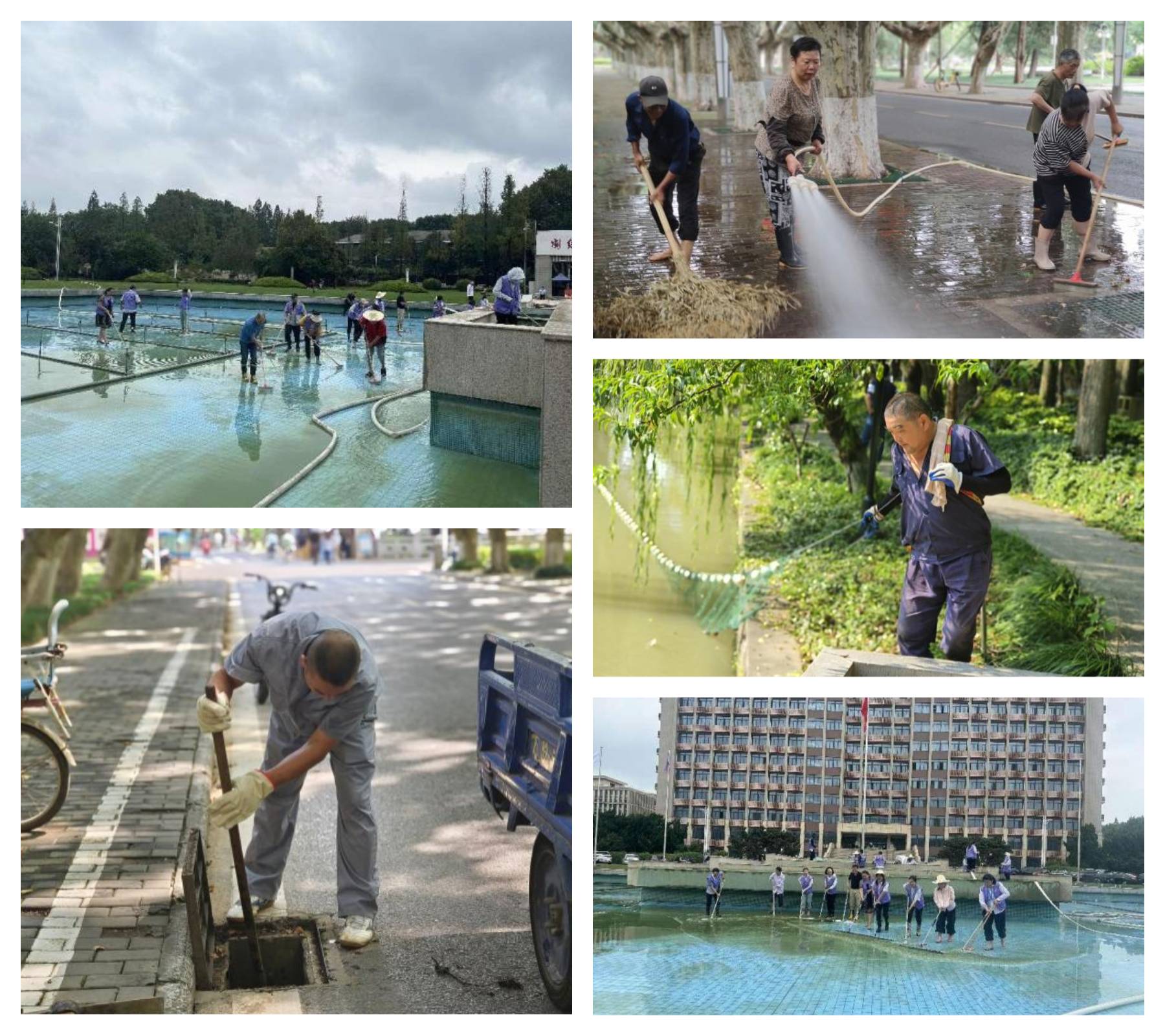 1693982987325016.jpeg 1693982987325016.jpeg