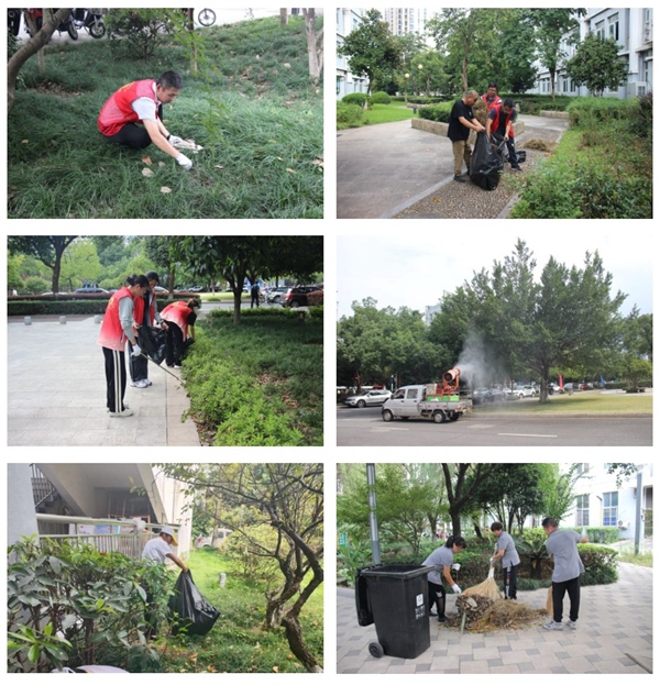 1695043758477355.jpg 2.jpg