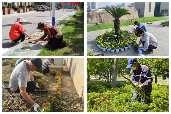 1695345743811232.jpg 图片5.jpg