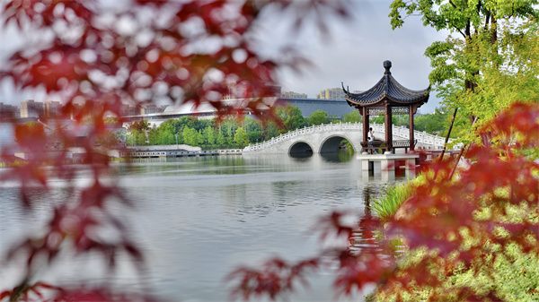 1697091340883288.jpg 1.jpg