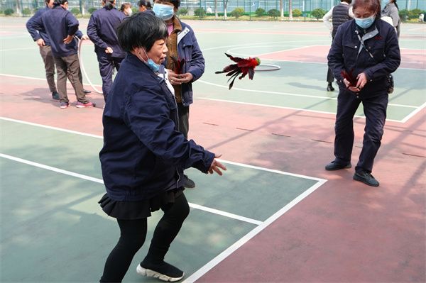 1710487467733992.jpg 踢毽子1.jpg