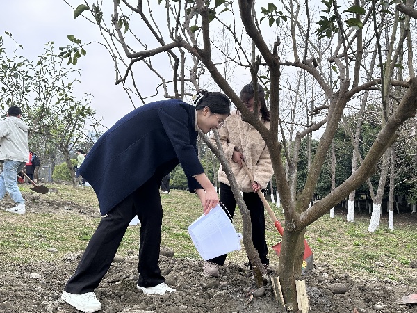 1711010517830109.jpg 3.jpg