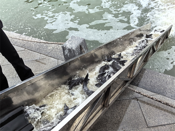 1711076931518632.jpg 2.jpg