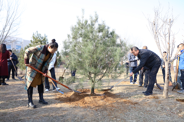 1711096881875256.png 图片5.png