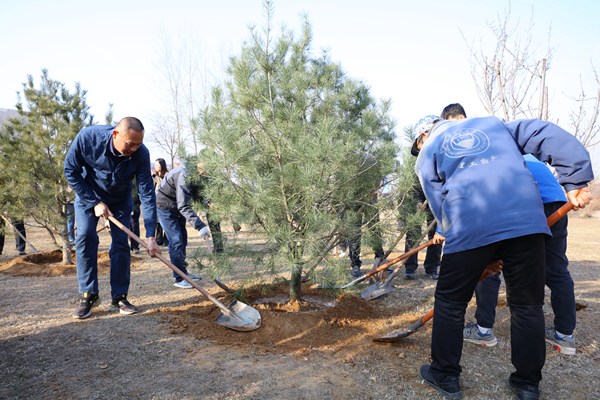 1711096881903062.png 图片6.png