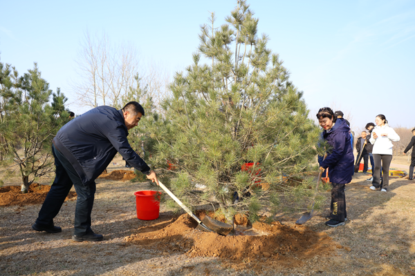 1711096882639926.png 图片3.png