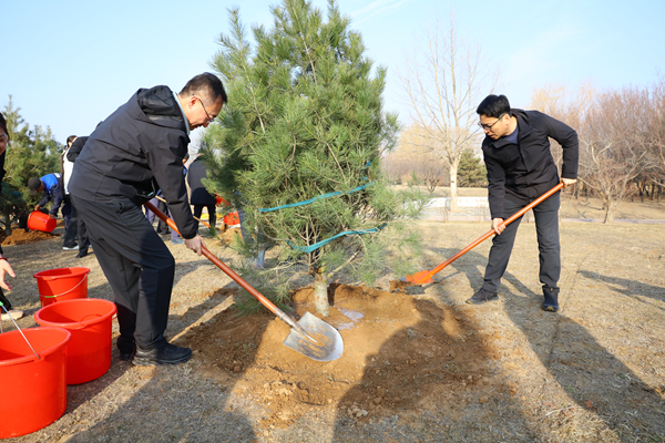 1711096882755874.png 图片2.png