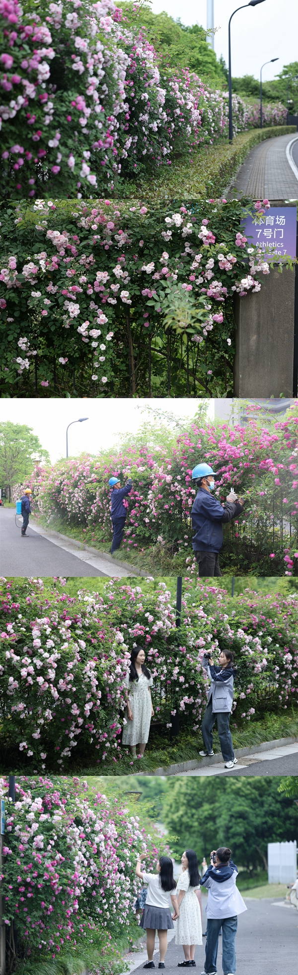 1714379854180332.jpg 光影魔术手拼图.jpg