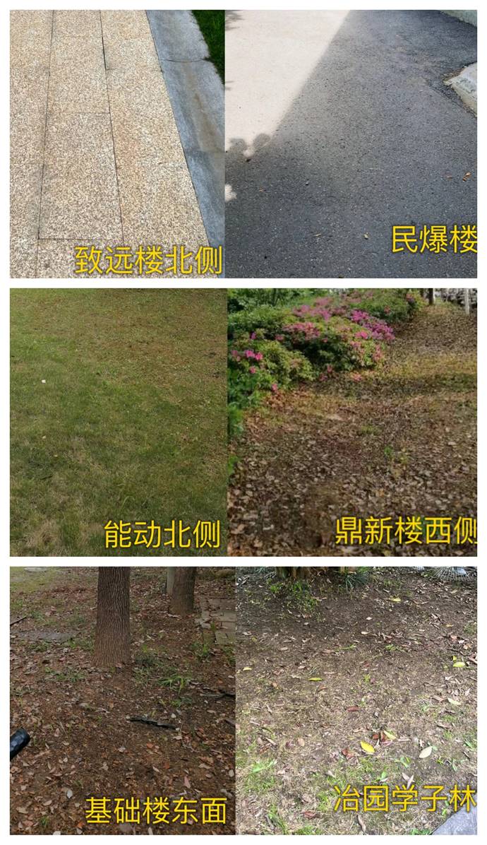 1717137905424174.jpg clip_image008.jpg