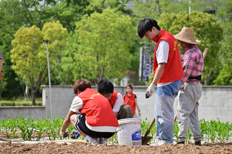 江苏科技大学举办第二届“稼穑科大——春耕种植玉米”劳动实践活动2.jpg