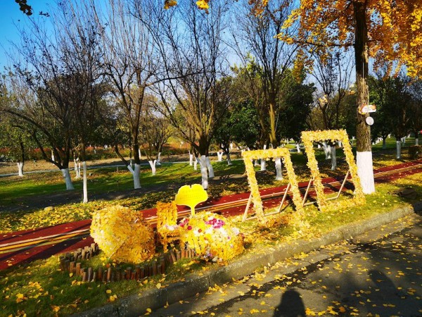 1765506454473585.jpg 图片4.jpg