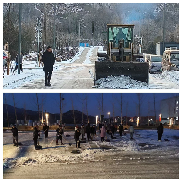 1767517536531890.jpg image003.jpg